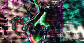 ���{���G